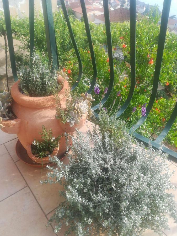 Apartman Betty Šibenik Exteriér fotografie